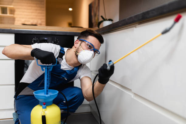 Best Local Pest Control Services  in Flint, MI