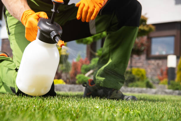 Best Pest Removal Services  in Flint, MI