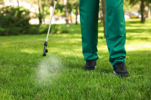 Best Cockroach Control Services  in Flint, MI