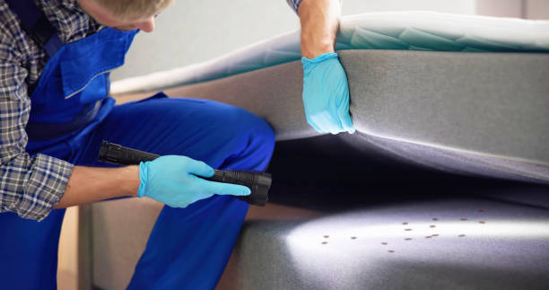 Flea Control Services in Flint, MI